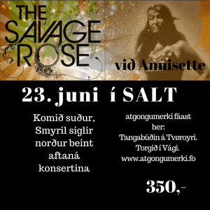 SALT lýsing SALT lýsing