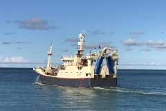 Nyborg3