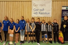 TB-flogbóltur10-2018b