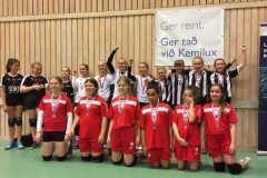 TB-flogbóltur10-2018e