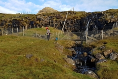 Viðalund Sevmýri (2)