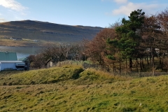 Viðalund Sevmýri (3)