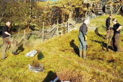 Viðalund Sevmýri (4)