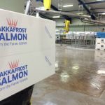 Bakkafrost: Góð lívfrøði – veikur marknaður 