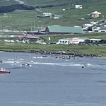 Grindamannafelagið fegnast um broytingar í Djóravælferðarlógini