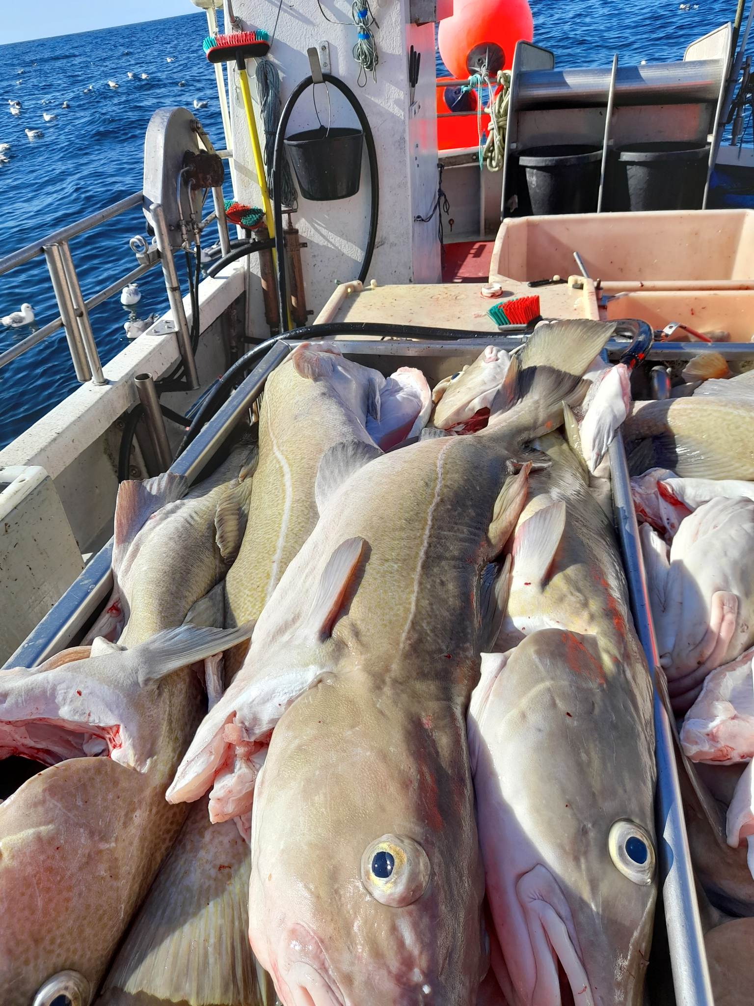 Føroya Banki 2023 (2)