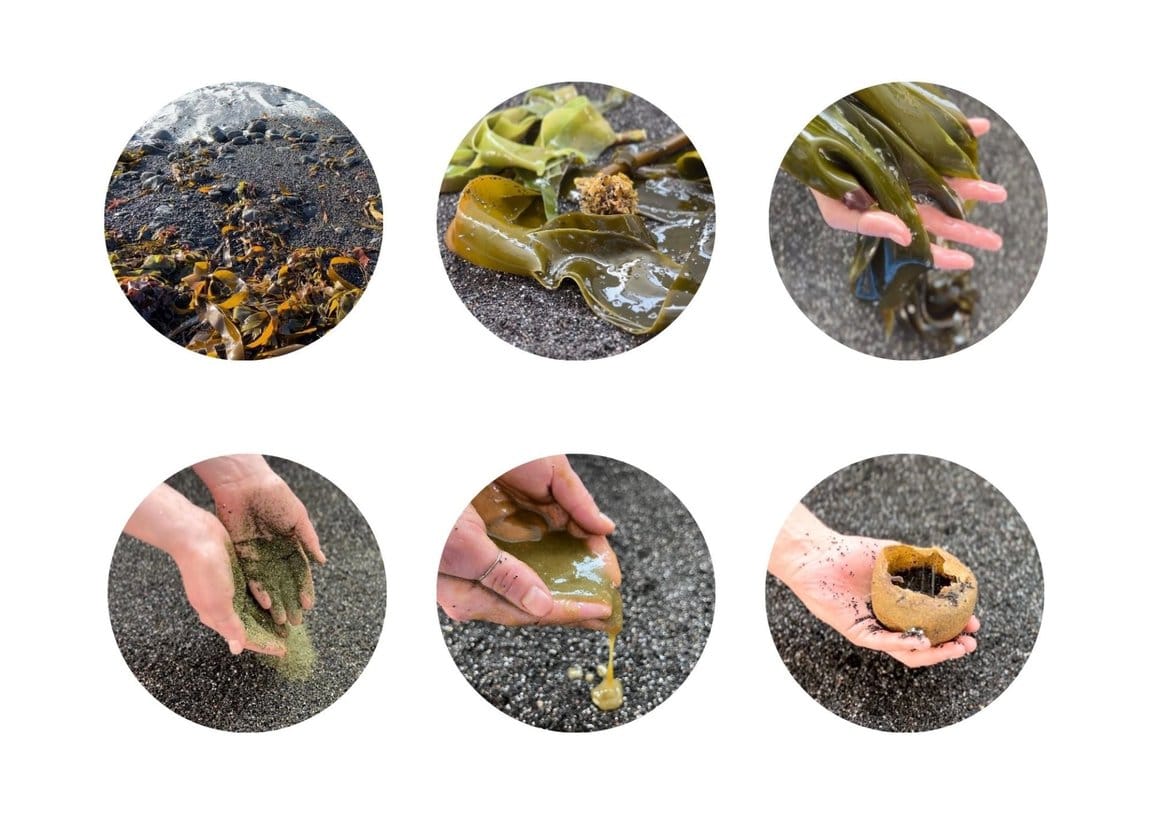 Listaframsyning-Tari