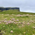 Eftirgróður verður borin út