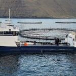 Maskinmeistari til M/S Vesthav