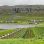 Stuðul til grønmetisverkætlanir