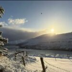 Novembur hevur verið skiftandi