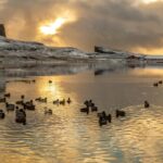 Tað eru ikki øll, sum hava onkran á jólum