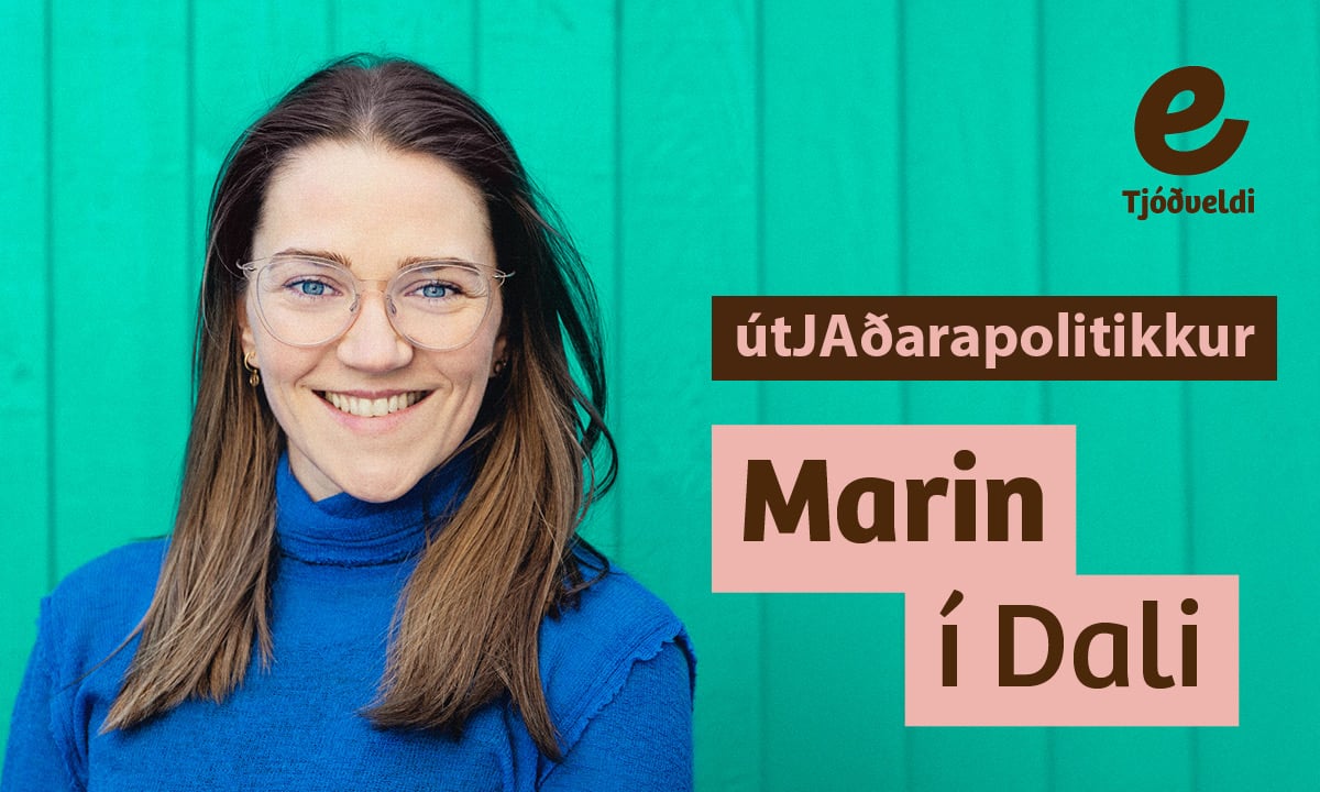 7 útJAðarapolitikkur