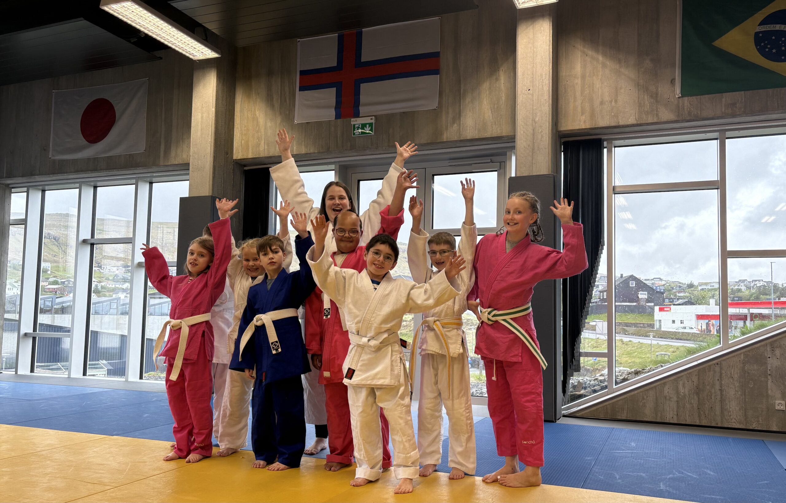 felagsmynd judo