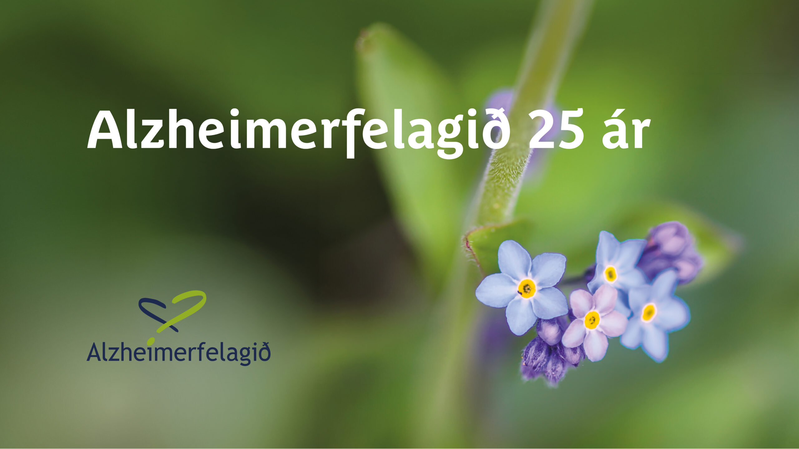 Alzheimerfelagið 25 ár
