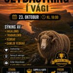 Seyðasýning í Vági